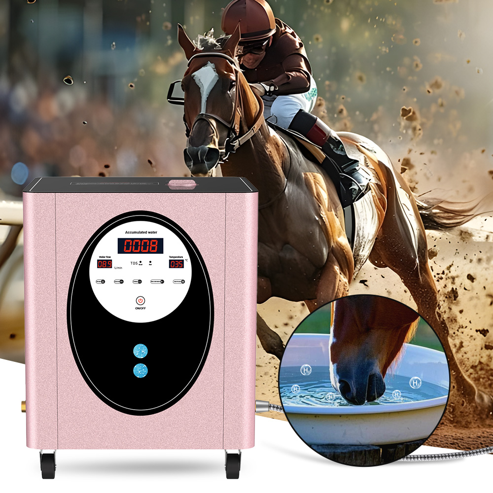 Spa Wellness Health - SUYZEKO Whole House Hydrogen Water Machine